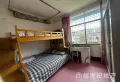 市中心 精装带家具家电 房东诚心出售3