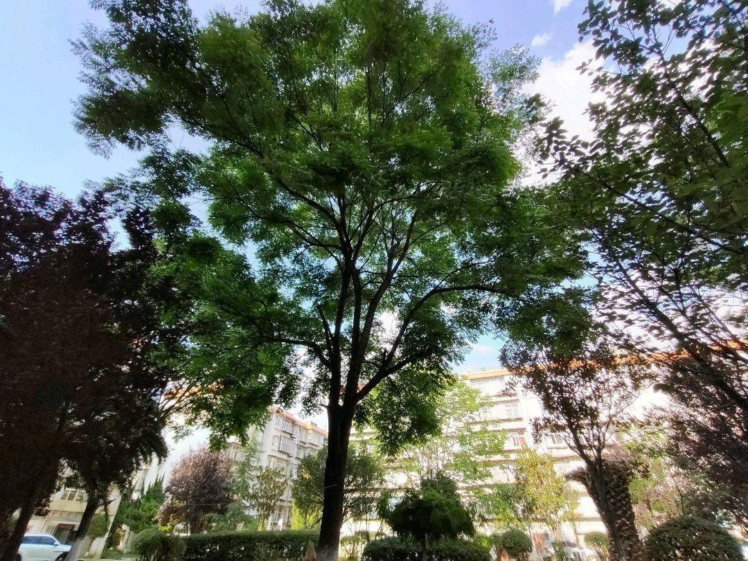 麒麟区城中精装3室2厅1卫二手房出售15