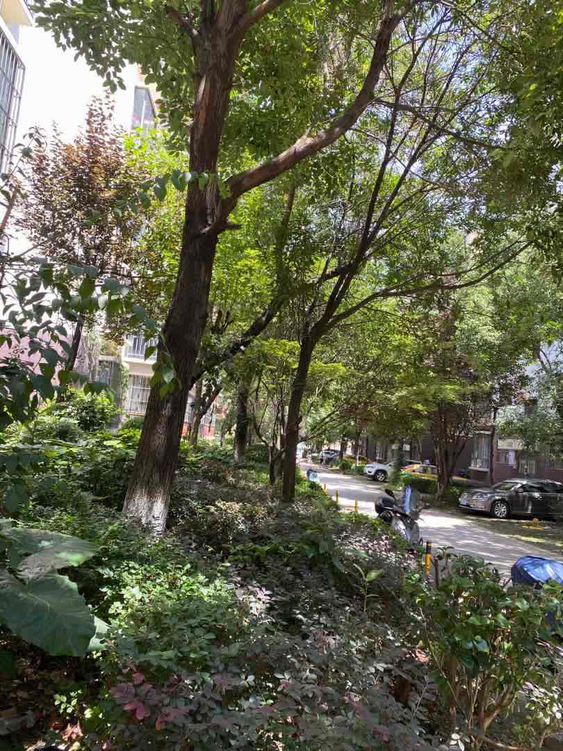麒麟区南片区精装4室2厅2卫二手房出售15