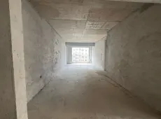 右江区|金宸悦珺3室2厅2卫出售