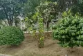 中珠家春秋 精装带家具家电 房东诚心出售12