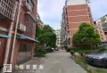 西农小区超好的地段，住家舒适10