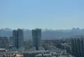 烁城中秧公园，南北通透 安静 视野开阔3