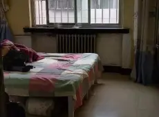 西峰区|东湖安居小区3室2厅1卫出售