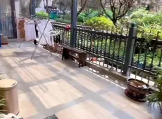 溆浦县|城市今典东区4室2厅2卫出售