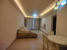 南沙区|碧桂园天玺湾2室2厅1卫出租