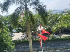 龙岗区|南澳海滨花园2室2厅1卫出售