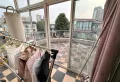 桃溪河畔双拼 拎包入住 环境好12
