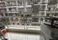 盐井广场旁精装三室前后双阳台5