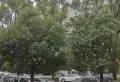 水电十四局宿舍 2室2厅1卫1阳台普通 使用面积大楼层好10