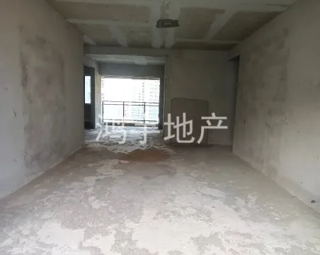 东方巴黎3室2厅2卫毛坯