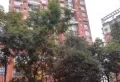 紫君上城小区图片5