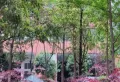 紫君上城小区图片3