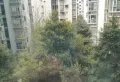 世纪春天小区图片2