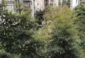 世纪春天小区图片3