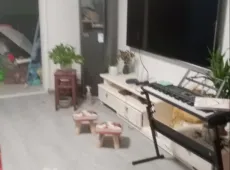 郊区|白鹤家园2室1厅1卫出售