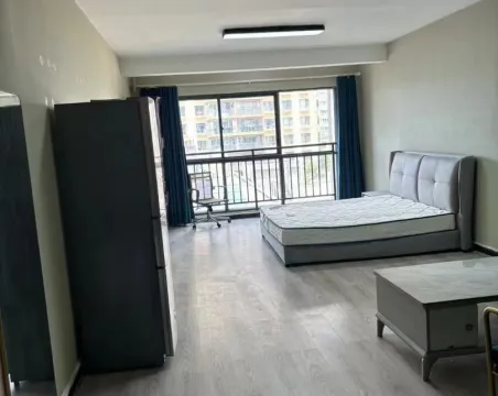伟业广场1室1厅1卫精装