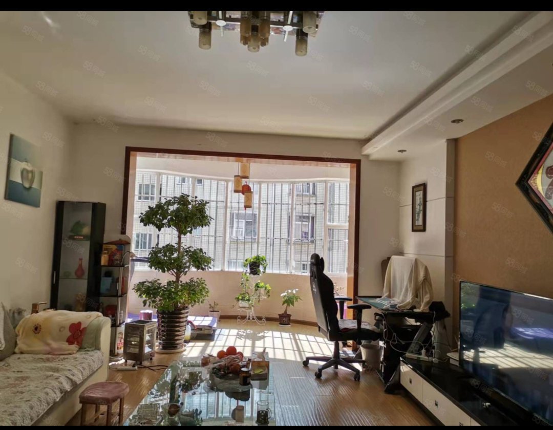 珠江花园精装带花园，面积120㎡，欢迎品鉴-珠江花园二手房价