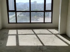 陇西县|佳禾广场3室2厅2卫出售