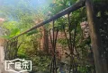 南北通透,6室3厅4卫3阳台全南,户型非常棒,有户型为证6