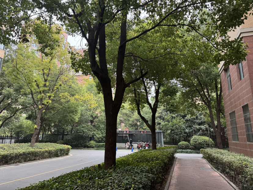 恒润阳光城,恒润阳光城109.53㎡3室2厅1卫1阳台精装南12