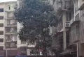 东方家园小区图片5