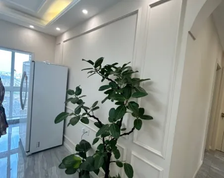moco新世界二期太阳城3室2厅1卫精装