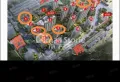 西沙汇兴花园多t多户 好楼层 连廊 车位单独算 房本在手2