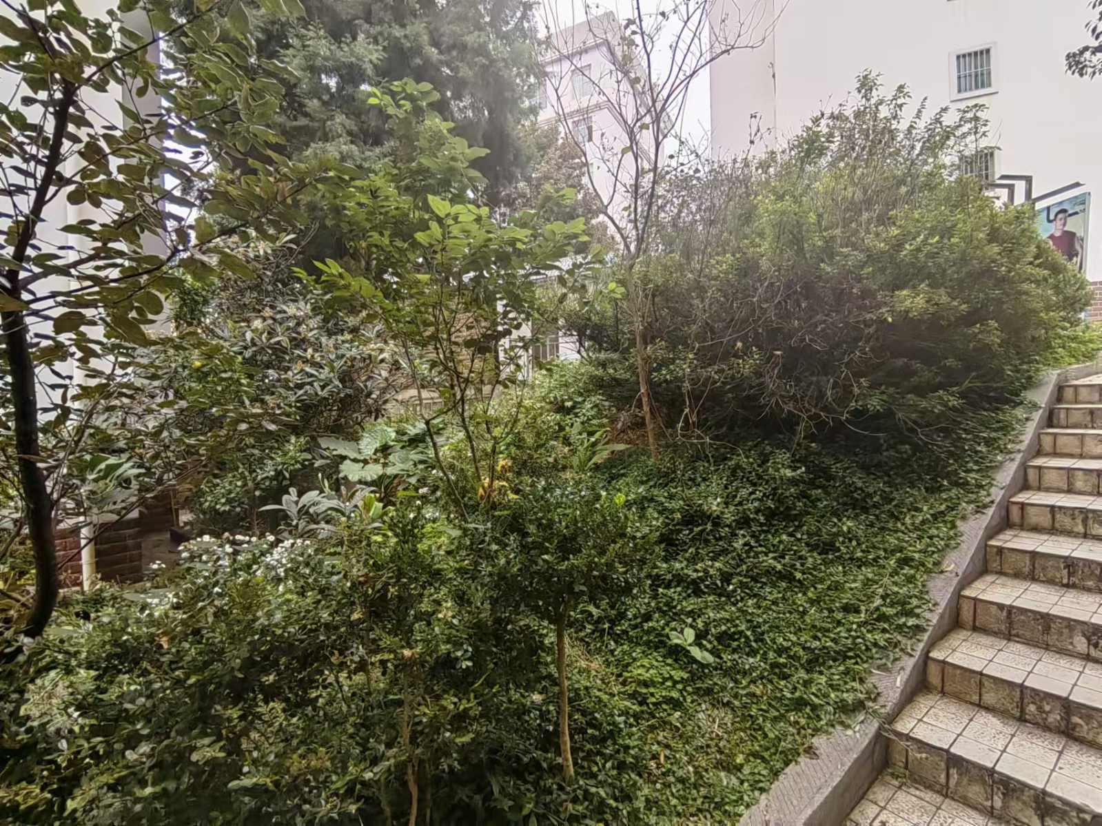 麒麟区北片区精装3室2厅2卫二手房出售12