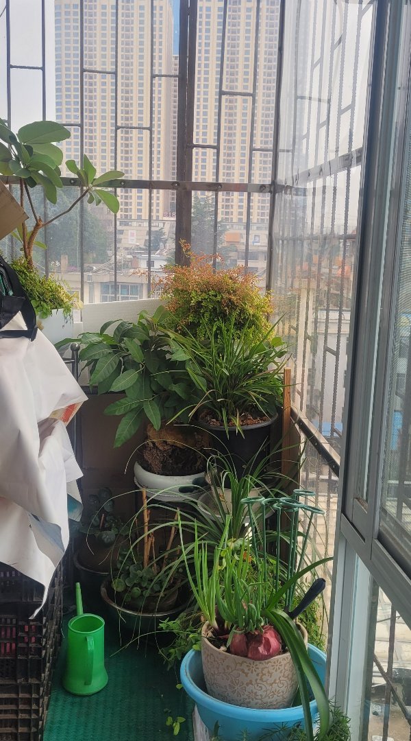 麒麟区城中普通3室2厅2卫二手房出售12