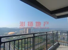 田东县|星河上城3室2厅2卫出售