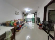 新会区|碧华园3室2厅2卫出售