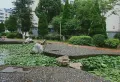 麒麟花园附近，百石江公园边上11