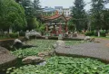 麒麟花园附近，百石江公园边上13