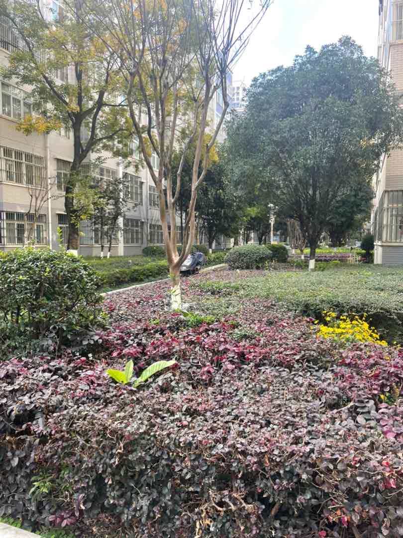 麒麟区东片区精装3室2厅2卫二手房出售13