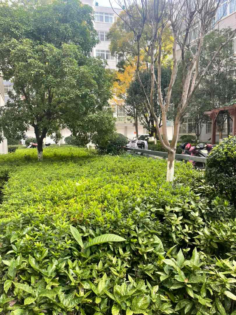 麒麟区东片区精装3室2厅2卫二手房出售14