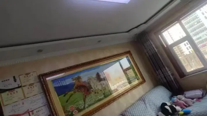 精品好房，楼层好，视野广，东云翰林2室2厅1卫1阳台！
