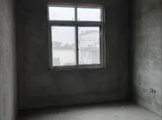 西峡县|林欣家园3室2厅2卫出售