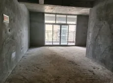 射洪县|红旭铂玉城4室2厅2卫出售
