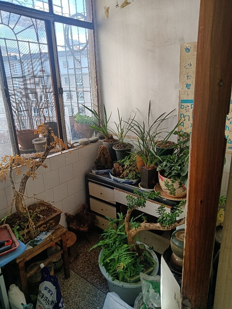 麒麟区北片区普通2室1厅1卫二手房出售9