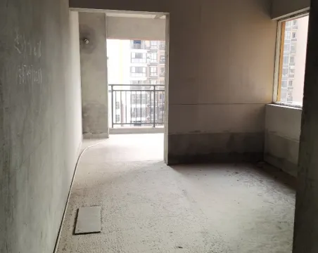 嘉丰广场1室1厅1卫毛坯