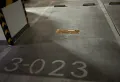 17144金缔二期连排车位出售5