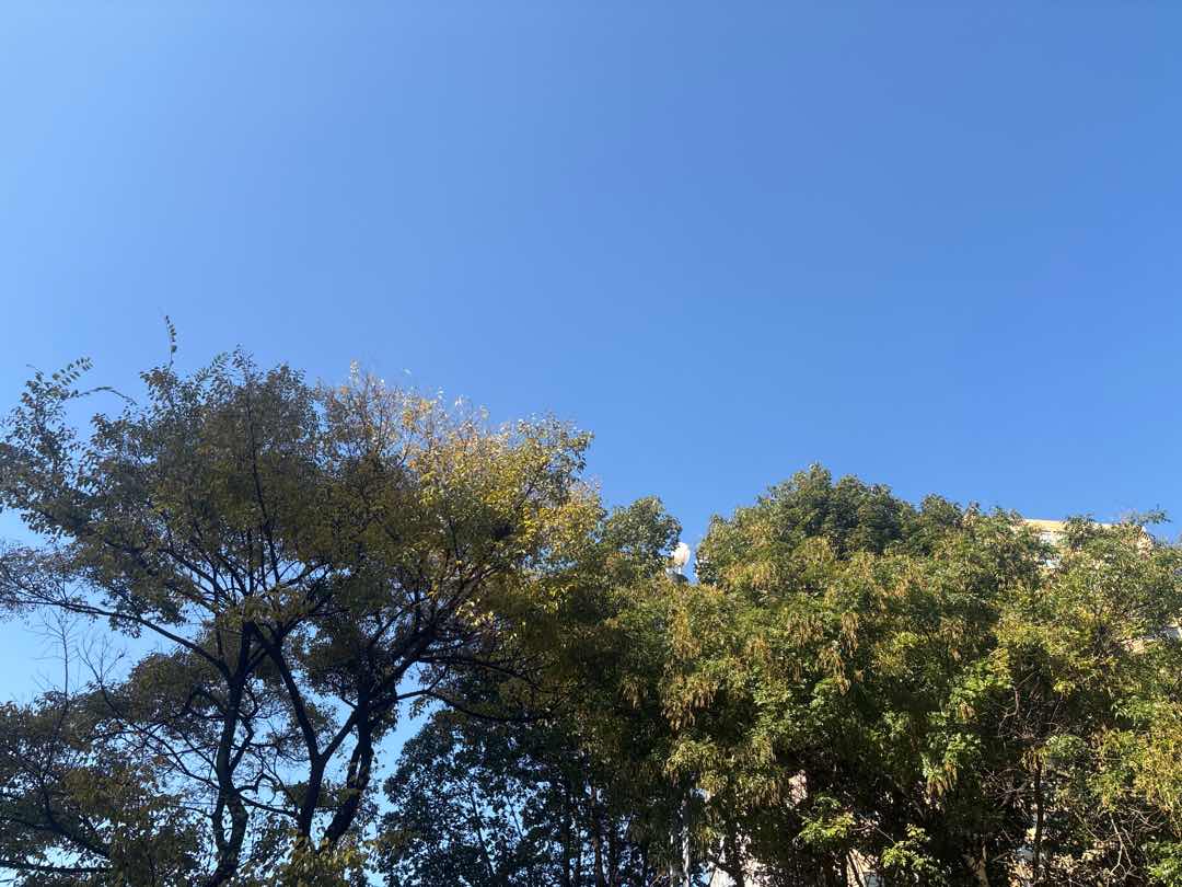 沾益县沾益精装3室2厅2卫二手房出售12