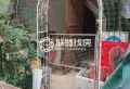 港中花鸟古玩市场性价比超高的商铺，忍痛急售中3