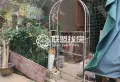 港中花鸟古玩市场性价比超高的商铺，忍痛急售中4