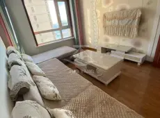 道里区|中兴城1室1厅1卫出租