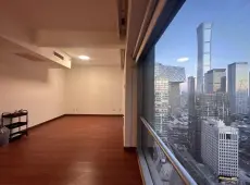 朝阳区|财富中心公寓1室1厅1卫出租