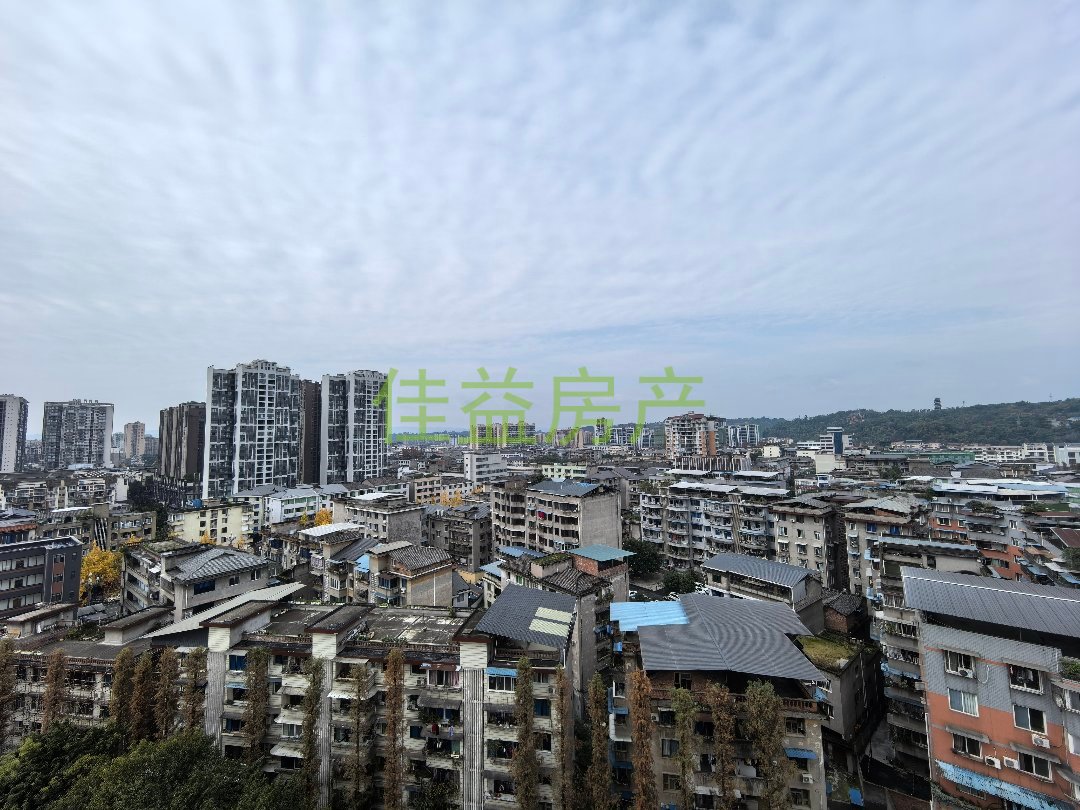 城南商业广场 套三一卫 空中花园-城南商业广场二手房价