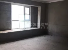 新密市|金茂华庭3室2厅2卫出售