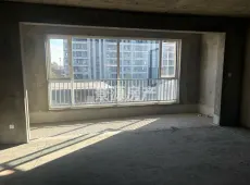 禄丰县|礼域府3室2厅2卫出售